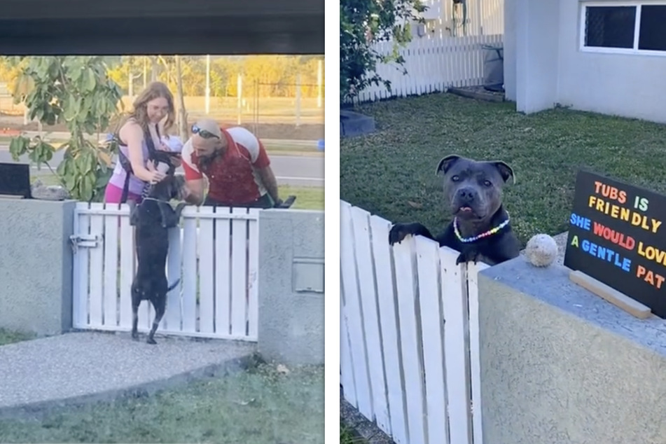 Die australische Hunde-Dame bekommt dank ihres neuen Schildes endlich die Zuneigung von ihren Nachbarn, die sie sich sehnlich erhofft hatte.
