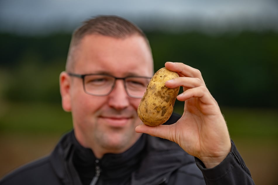 Agrar-Boss Jörg Weinhold (35) gibt seine Knollen frei für alle. Manche kaufen gleich mehrere Säcke.