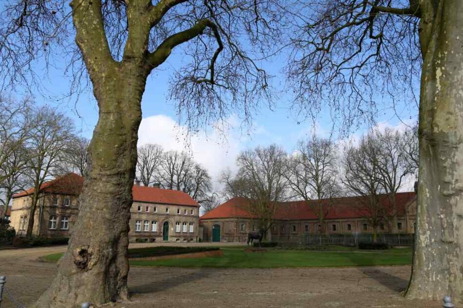 Mehrere ehemalige Führungskräfte der Reitschule stehen nun vor Gericht.