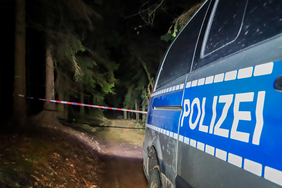 In diesem Waldstück zwischen Chemnitz-Einsiedel und Dittersdorf wurde am späten Mittwochabend eine Weltkriegsbombe gefunden. Diese soll am Donnerstag entschärft werden.