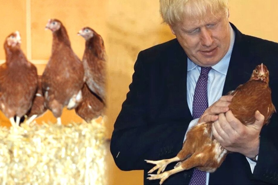 WTF!? Britischer Premier Boris Johnson posiert mit Hühnern