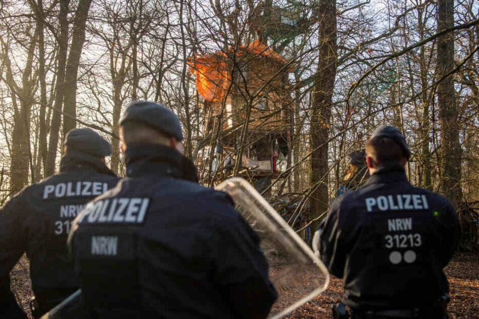 Hambacher Forst: Räumungs-Gutachten veröffentlicht