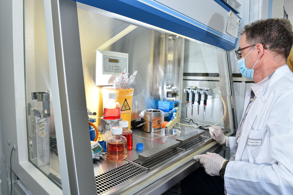 Klaus Knoch (59) füttert im Zellenkulturlabor mit einer Pipette die neuen Zellen mit einer Glukoselösung.