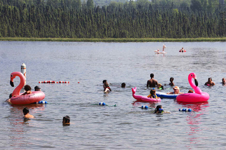 Baden statt Bibbern. Kinder spielen mit aufblasbaren Flamingos und schwimmen am Goose Lake.