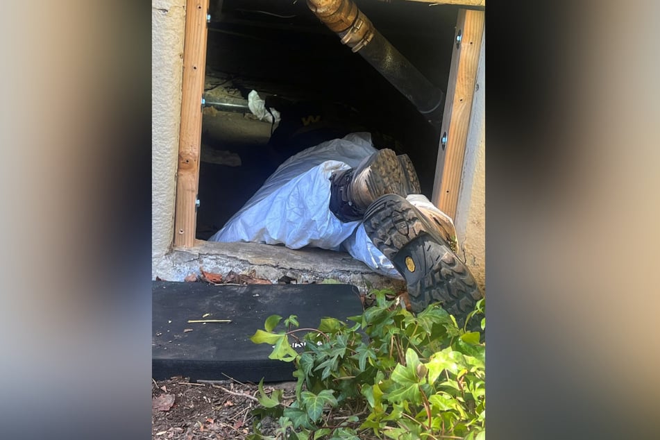 Fue necesario un gran esfuerzo físico para sacar al oso de debajo de la casa.