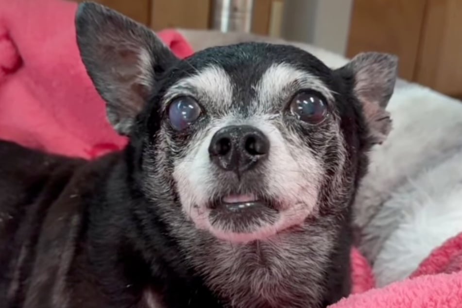 Coral ist 15 Jahre alt und wurde kürzlich in Miami aufgegriffen.