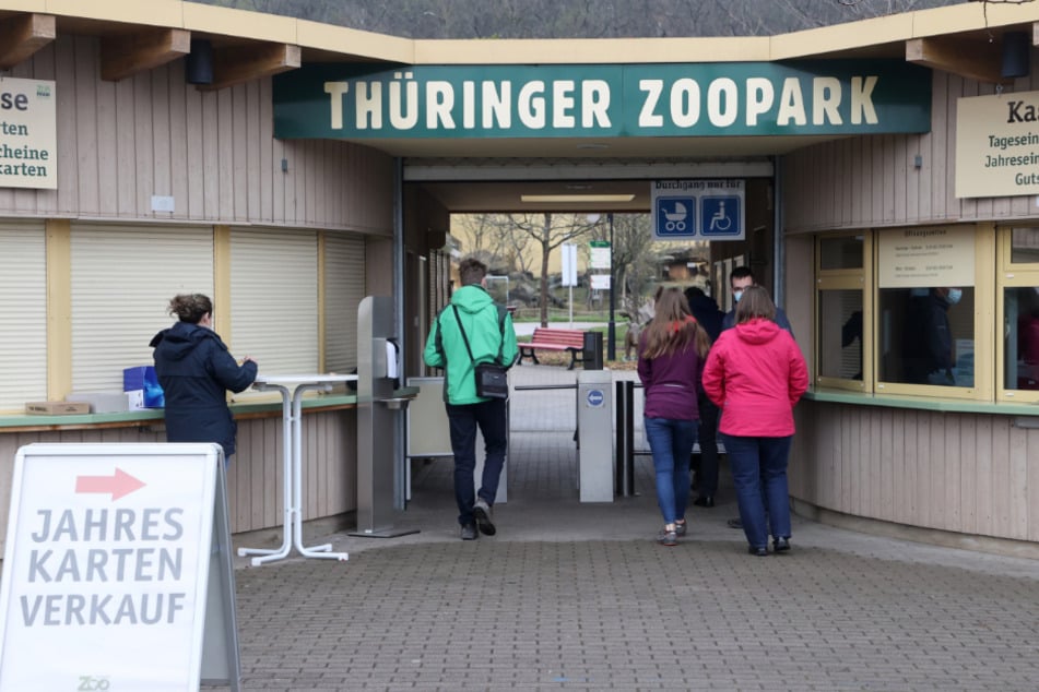 News und Geschichten aus dem Thüringer Zoopark Erfurt im Überblick findet Ihr auf TAG24. © dpa/Bodo Schackow
