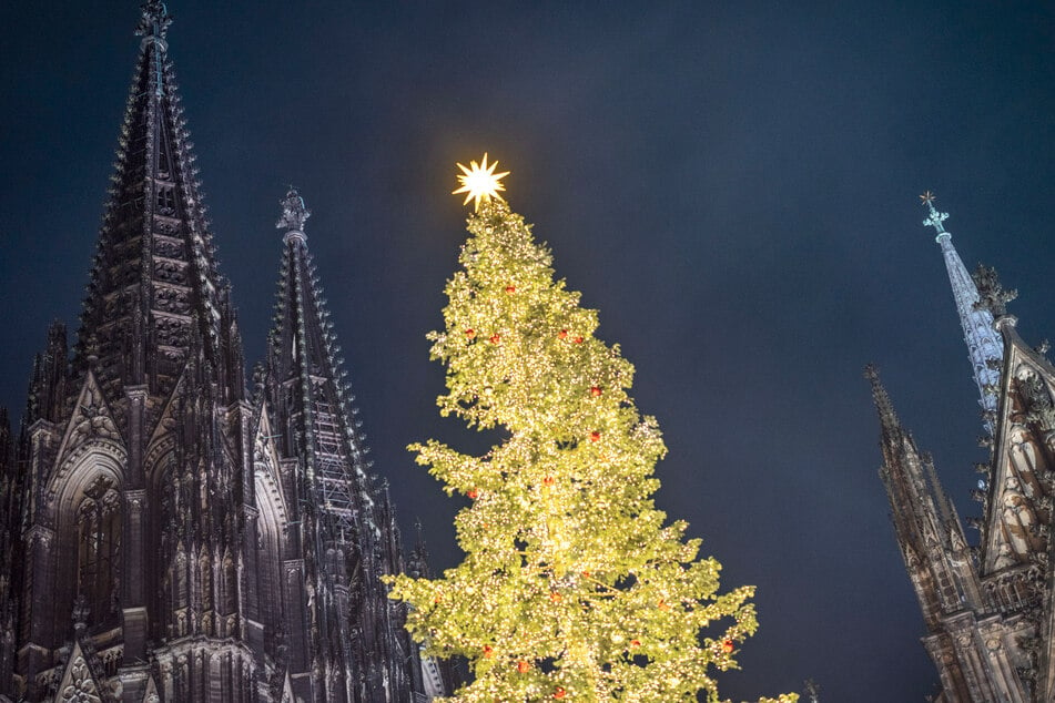 Kein anderer Baum leuchtet so hell wie der Christbaum im Schatten des Kölner Doms.