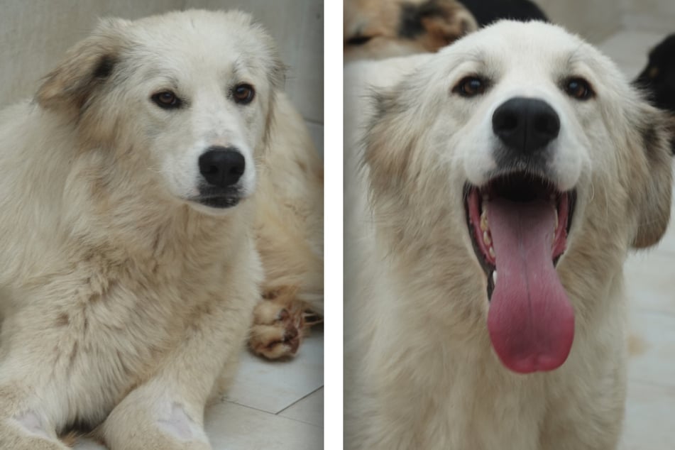 Wer kann diesem Anblick widerstehen?