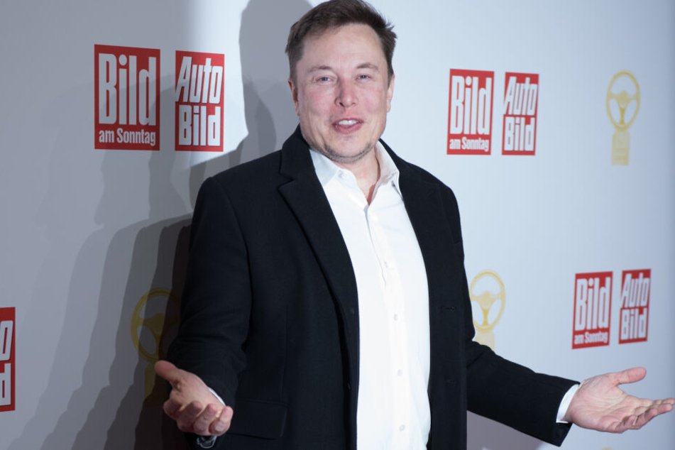Auto-Hammer! Tesla-Boss will Fabrik in Berliner Umland bauen