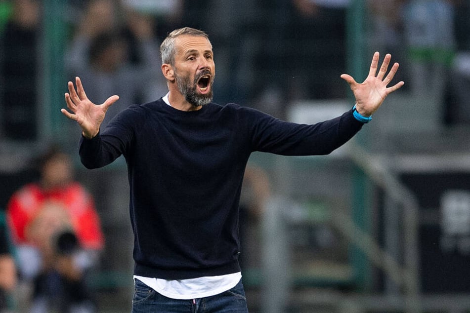 Marco Rose (42) ist neuer Trainer bei Gladbach geworden. Der gebürtige Leipziger trifft am Freitag erstmals in einem Ligaspiel auf RB.