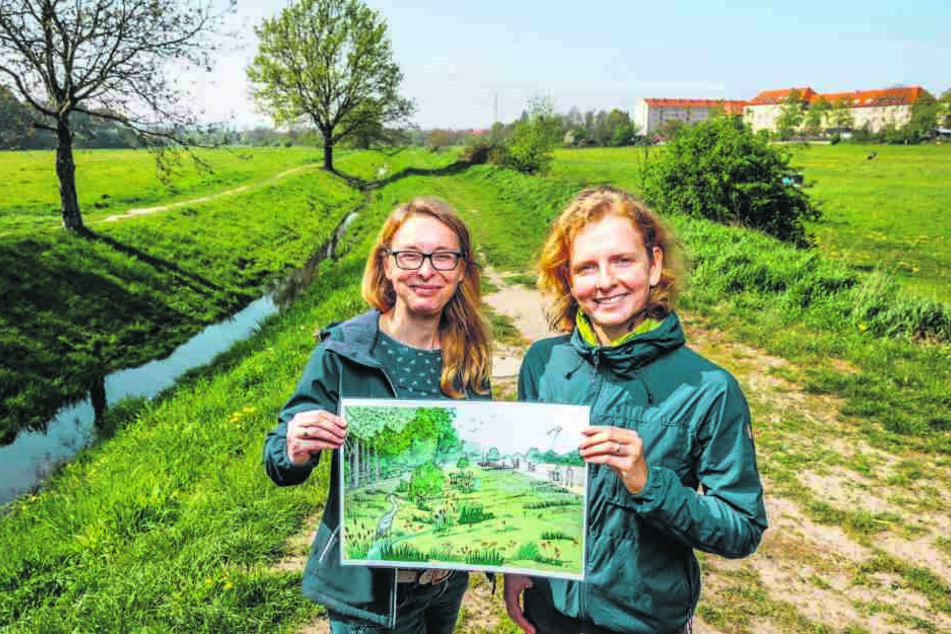 Wollen Geberbach und Niedersedlitzer Flutgraben aus ihrem Betonbett befreien: Stadtplanerin Franziska Wende (32, r.) und Katja Schumann (40) vom Umweltamt.