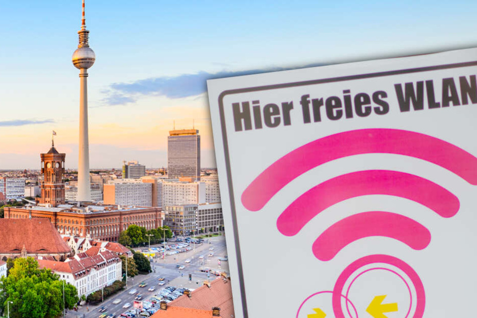 2000 Stück sollen in den nächsten zwei Jahren dazukommen (Collage/Symbolbild).