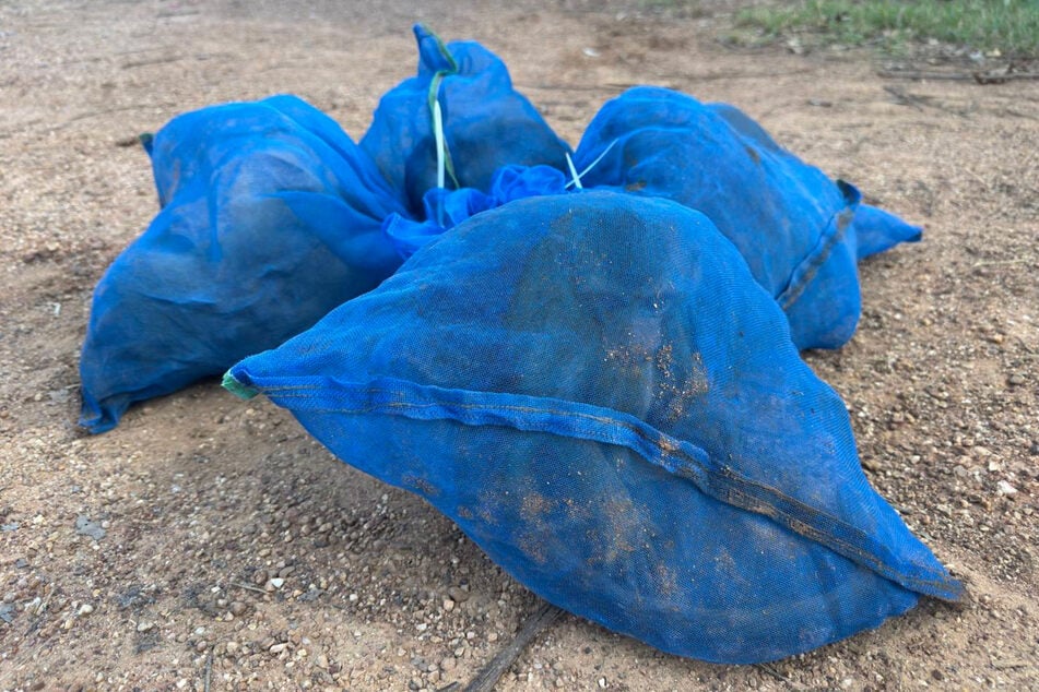 Trauriger Anblick: In blauen Netzen haben Tierschmuggler insgesamt 81 Affen transportiert.