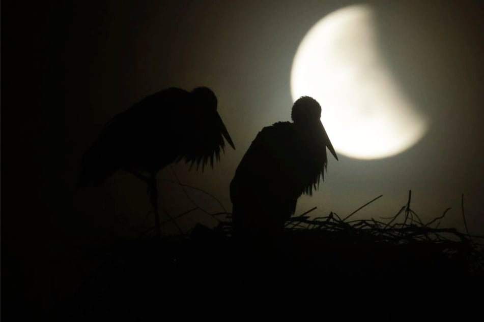 Lohnt sich das frühe Aufstehen? So stehen die Chancen für einen Blick auf die Mondfinsternis im Südwesten