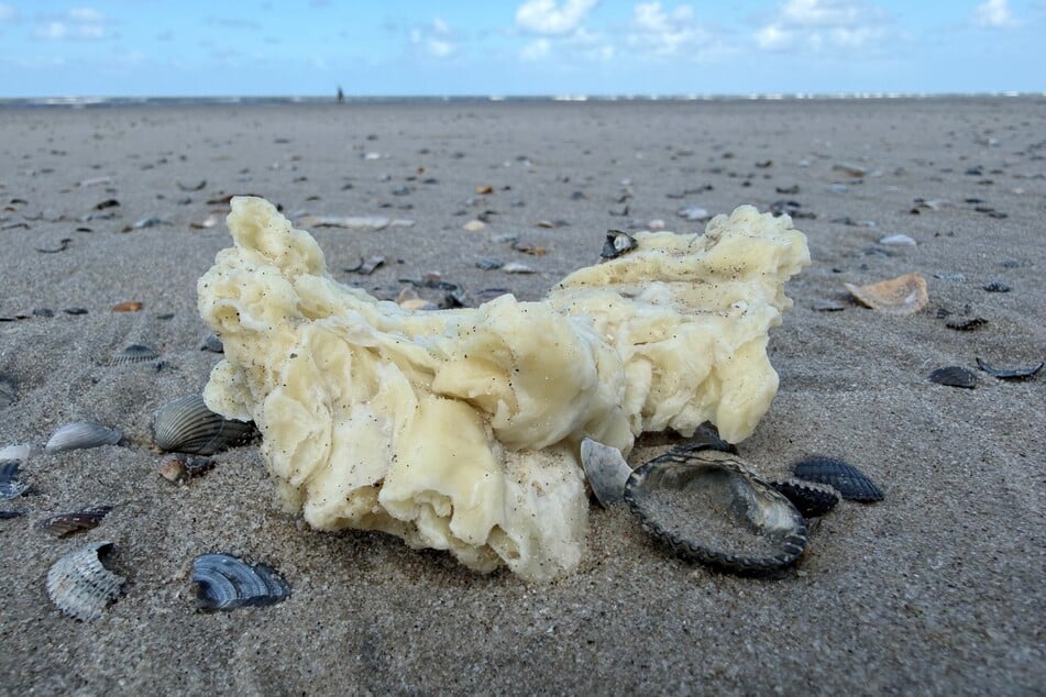 Unter anderem am Strand von Norderney war ein weißer Klumpen zu sehen.