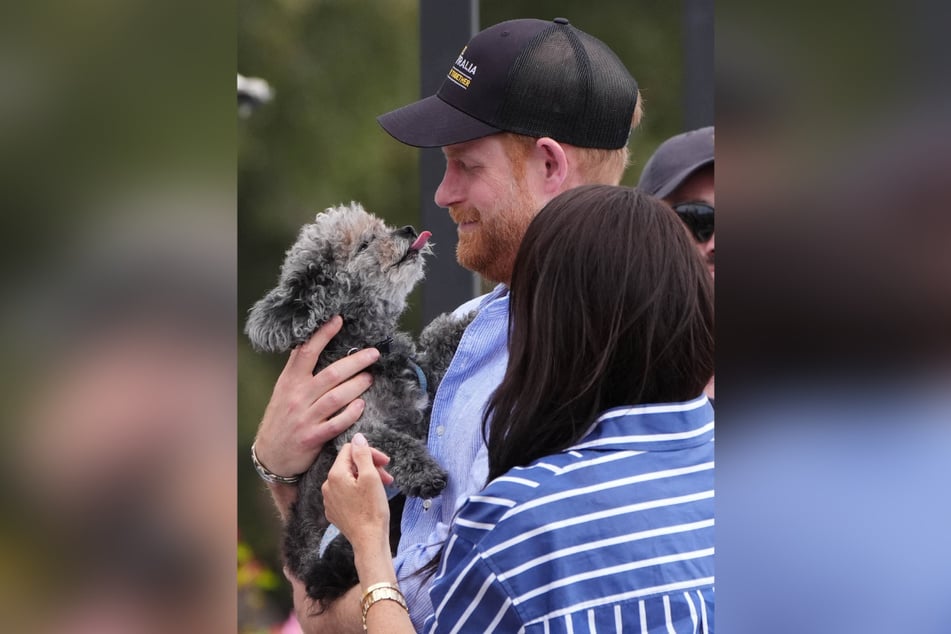 … dem sich der Royal nicht widersetzen kann.