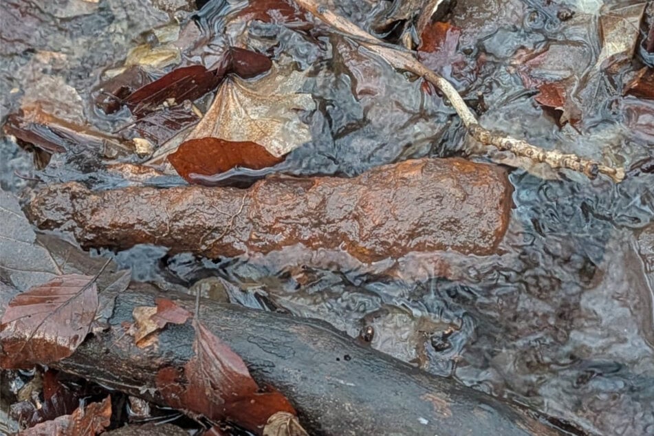 Verdächtige Metallteile nahe der Weidentalwiese entpuppten sich nach Prüfung durch Spezialisten als Altmetall.