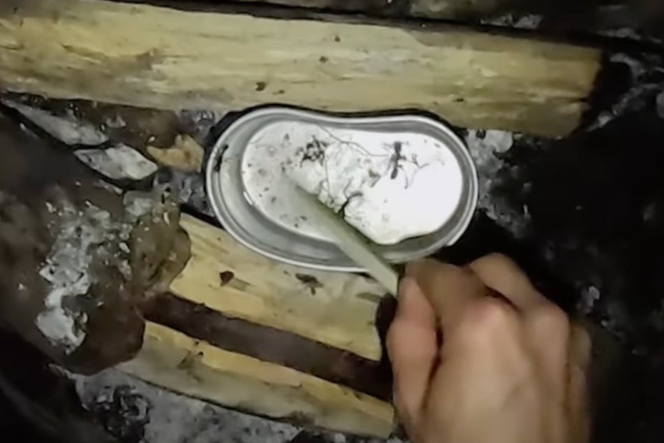 Joe Vogel (41) hat sich nachts heimlich aus dem Lager geschlichen und Ameisen zum "Snacken" gesammelt.