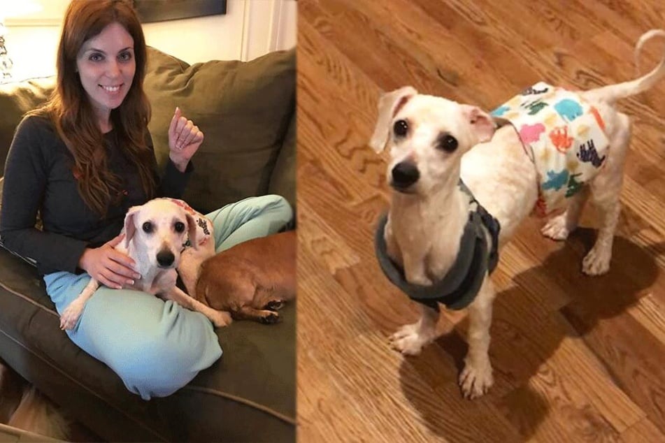 Melissa Lentz zeigt stolz ihren Hund Jordan, der sich langsam erholt.