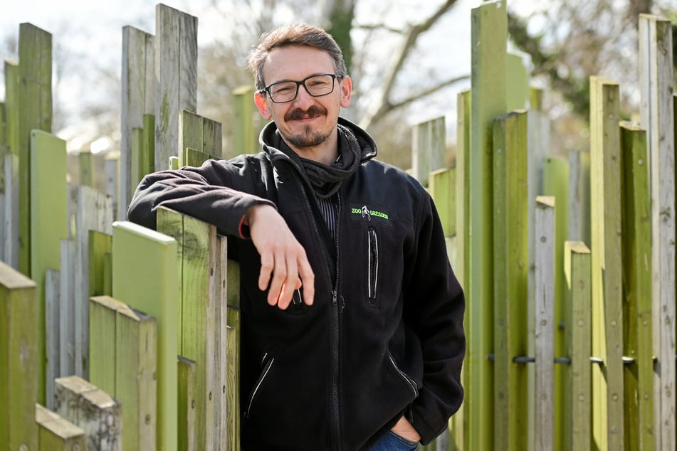 Zoo-Kurator Matthias Hendel (43) freut sich auf die neue Anlage.