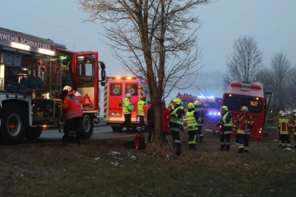Der Bus raste frontal gegen einen Baum.