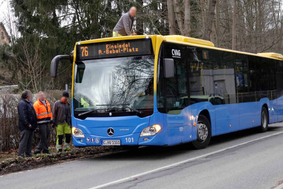 Beim Umkippen streifte der Baum noch einen Linienbus.
