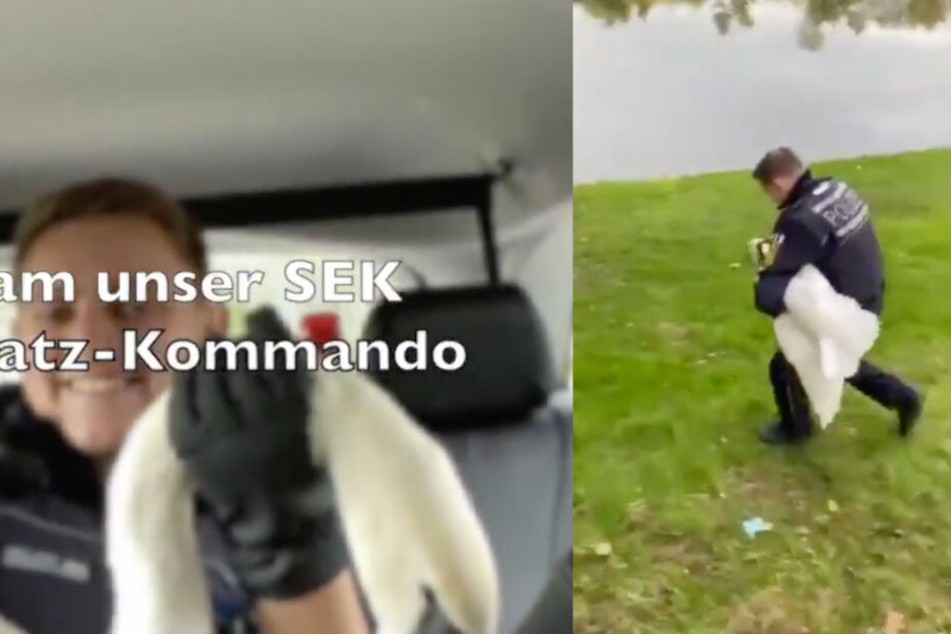 Ausschnitte aus dem Video der Polizei.