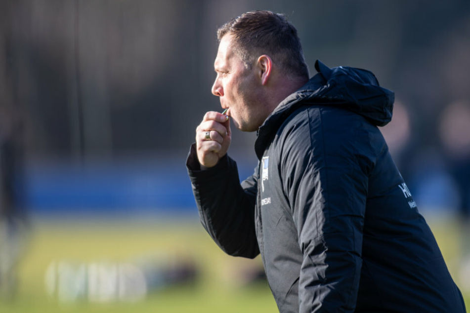 Trainer Pal Dardai (44) pfeift bei seinem ersten offiziellen Training mit der Mannschaft von Hertha BSC.
