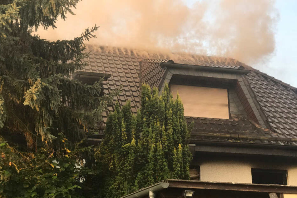 Ergebnisse zur Brand-Ursache werden frühestens am Dienstag erwartet.