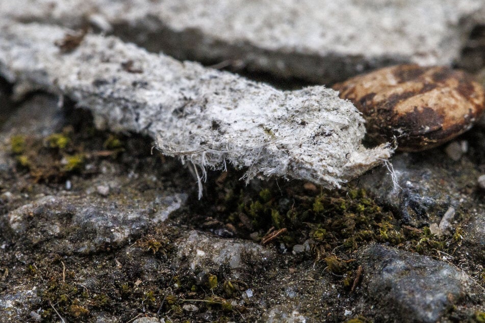 Solche Bruchstücke der Dach-Wellplatten liegen im Umfeld der Brandruine. Die freiliegenden Asbestfasern sind gut sichtbar.