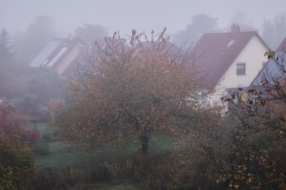 Stattdessen offenbarte der Blick aus dem Fenster am Freitagmorgen nicht allzu viel.