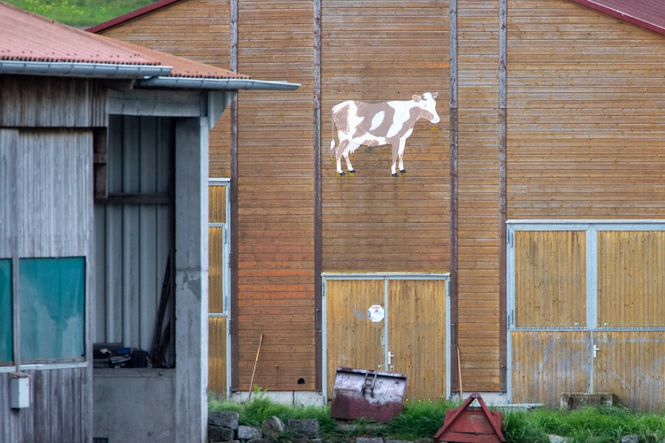 Mehr als hundert Kühe starben auf einem Hof in Mittelfranken, weil ein Landwirt sie vernachlässigte.