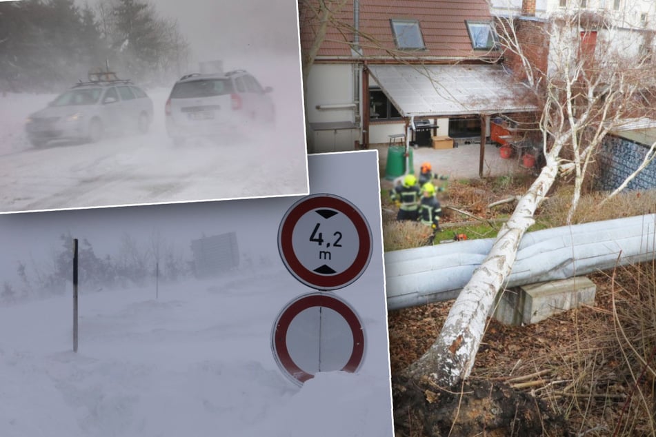 Erneut heftiger Sturm über Sachsen: Umgestürzte Bäume, Zugausfälle, Schneesturm
