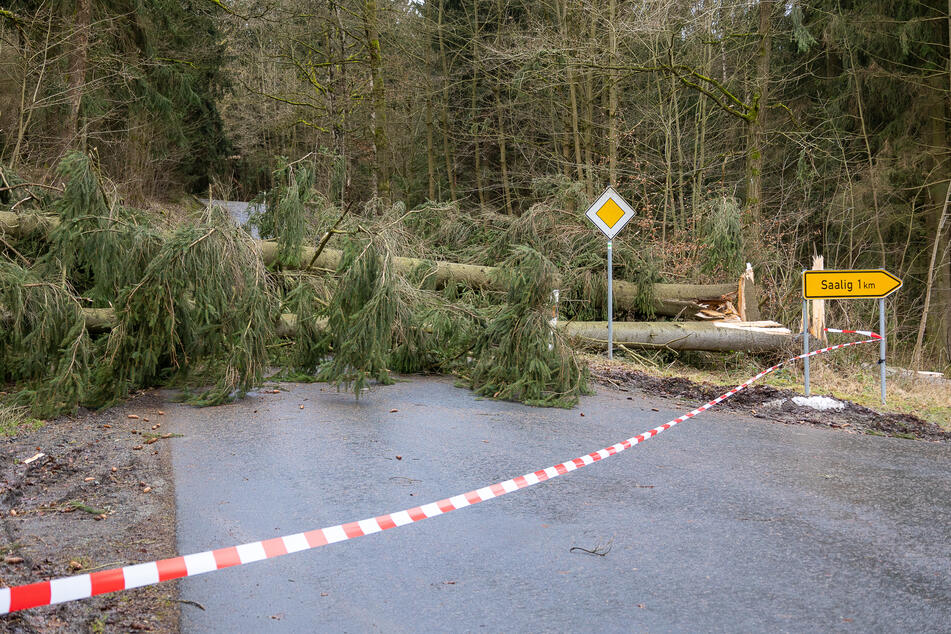 Im Vogtland stürzten am Donnerstag Bäume auf die Straßen. Auch am Freitag wird es wieder ungemütlich.
