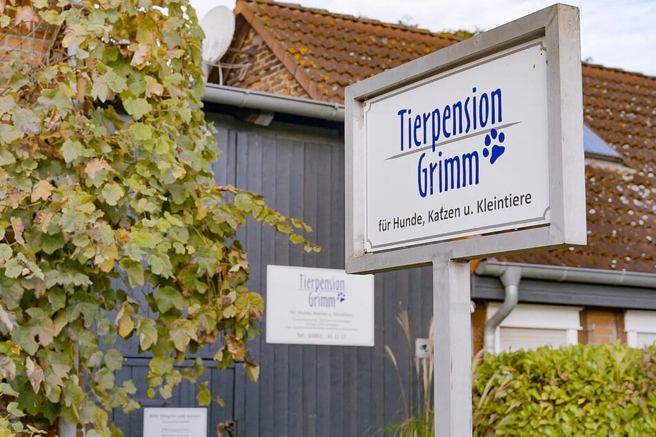 Die Tierpension Grimm in Salzwedel arbeitet mit dem ausländischen Tierschutz zusammen.