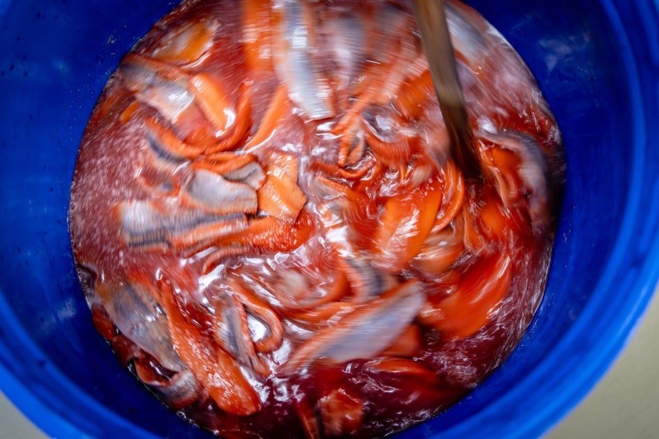 Eine Spezialität aus Albernau ist der rote Lachsmatjes.