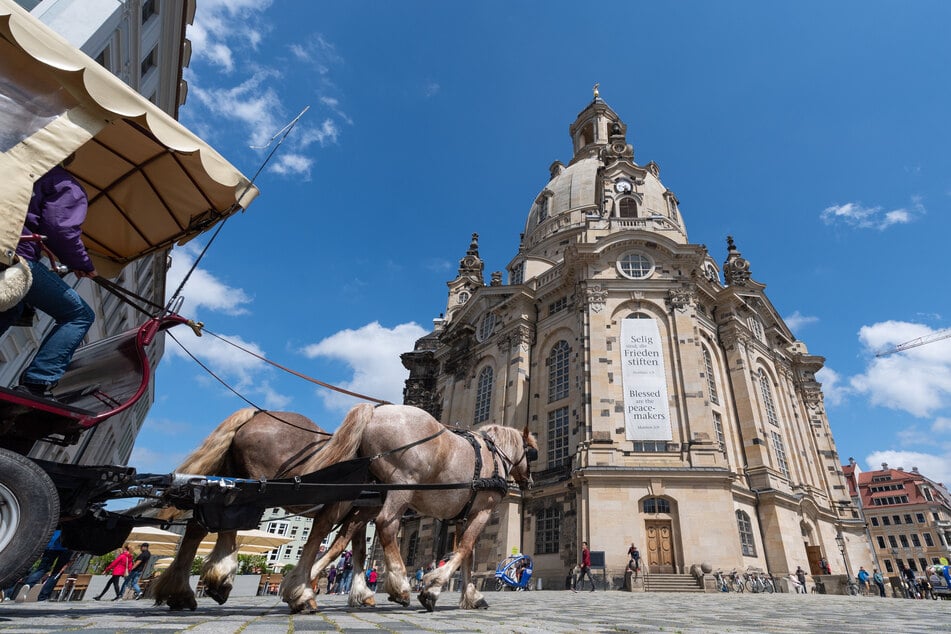 Das tägliche Leben hält weiter Einzug in Dresden. Auch mit der Pferdekutsche können Einheimische und Touristen wieder fahren.