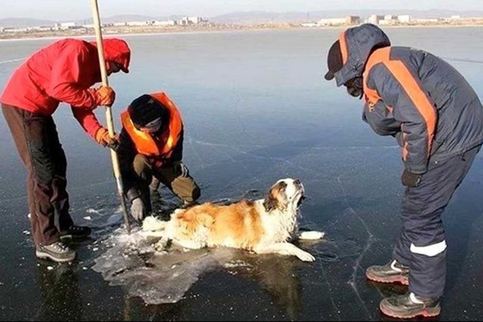 Feuerwehrleute zerbrechen das Eis um den Hund, um ihn zu befreien.