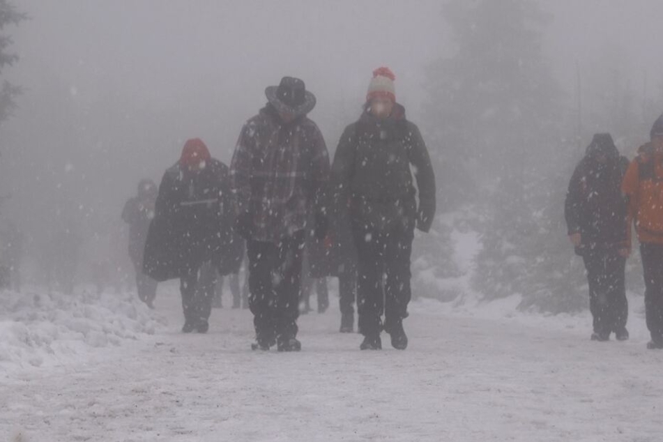 Ein eisiger Wind pfeift über den Harz.