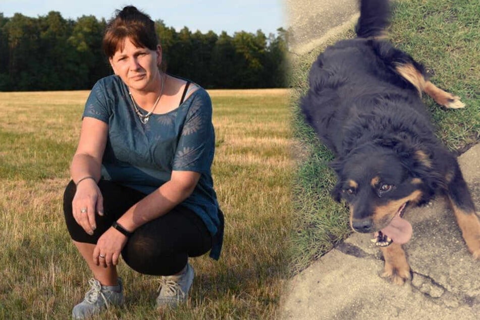 Frauchen sicher: Ein Wolf hat meinen Hund getötet