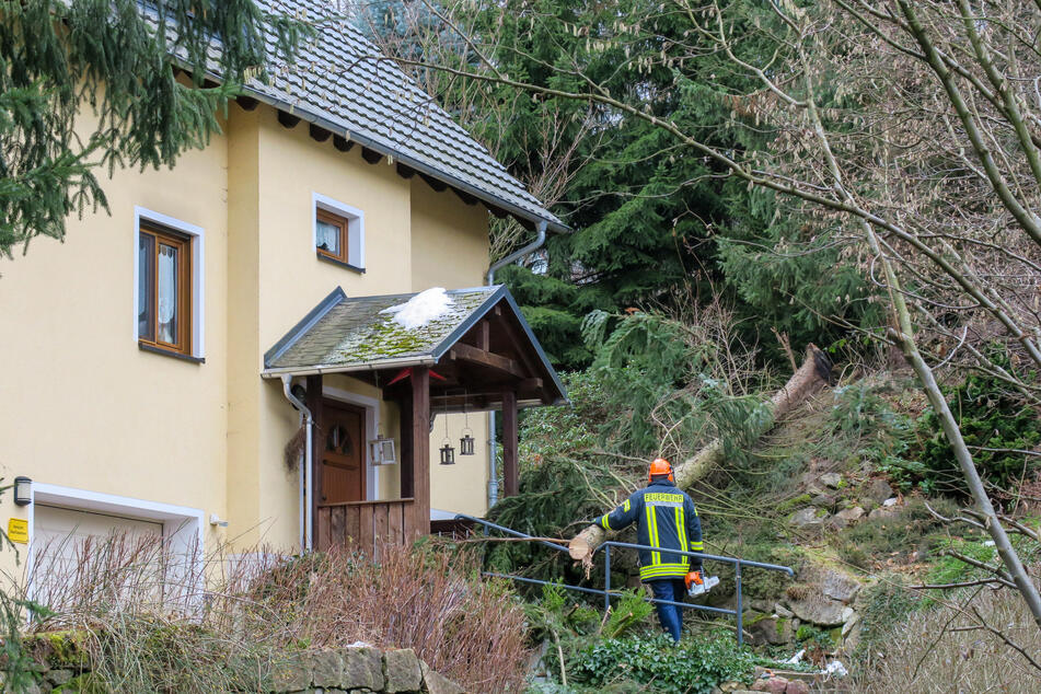 In Schwarzenberg ist ein Baum auf ein Haus gestürzt.