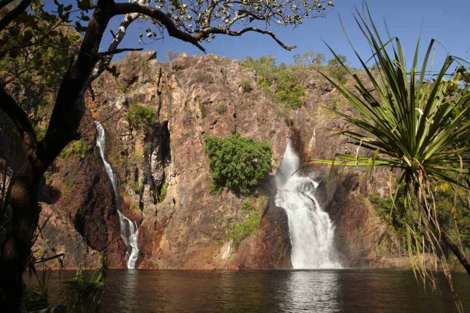 Die "Wangi Falls" im "Lichtfield National Park" in Australien sind bei Touristen extrem beliebt.