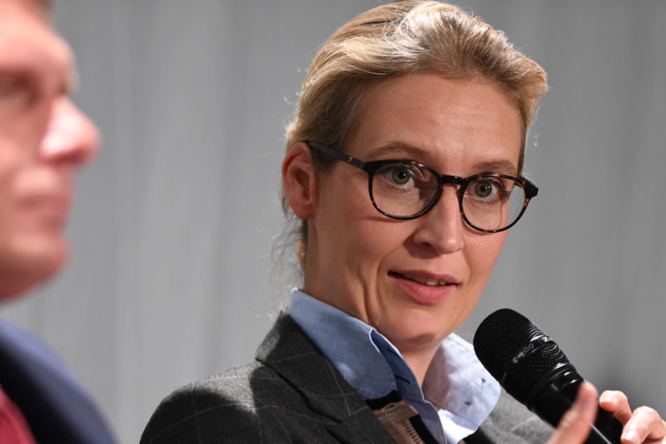 Alice Weidel (38) will die AfD bis 2021 regierungsfähig machen.