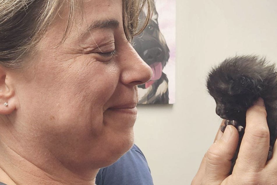 The kitten named Soot was nursed back to health after being rescued from a burning house.