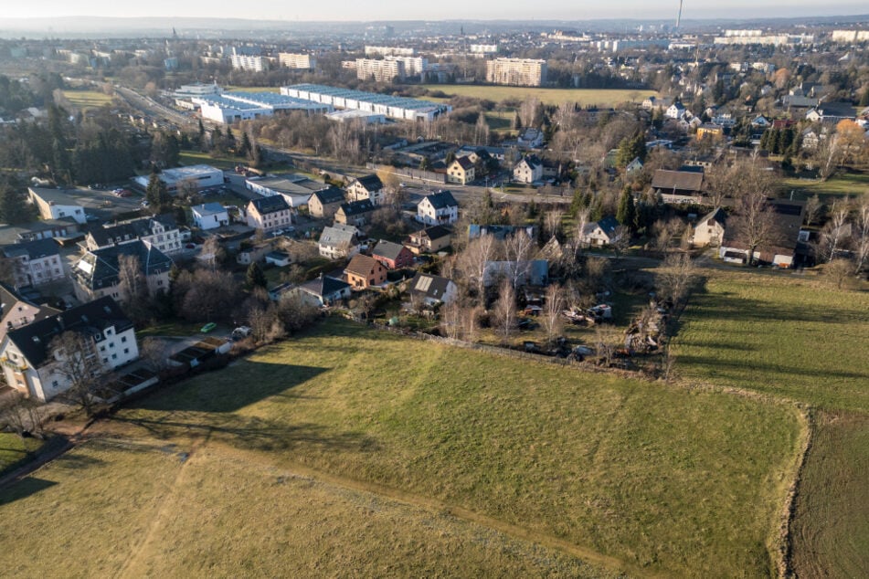 Auf diesem Feld in Adelsberg könnte nach Meinung von CDU-Stadträtin Ines Saborowski (57) ein Supermarkt entstehen.