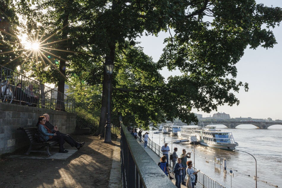 Der Wasserstand der Elbe sinkt konstant. Für viele Touristen und Einheimische ist der Fluss immer eine Attraktion.