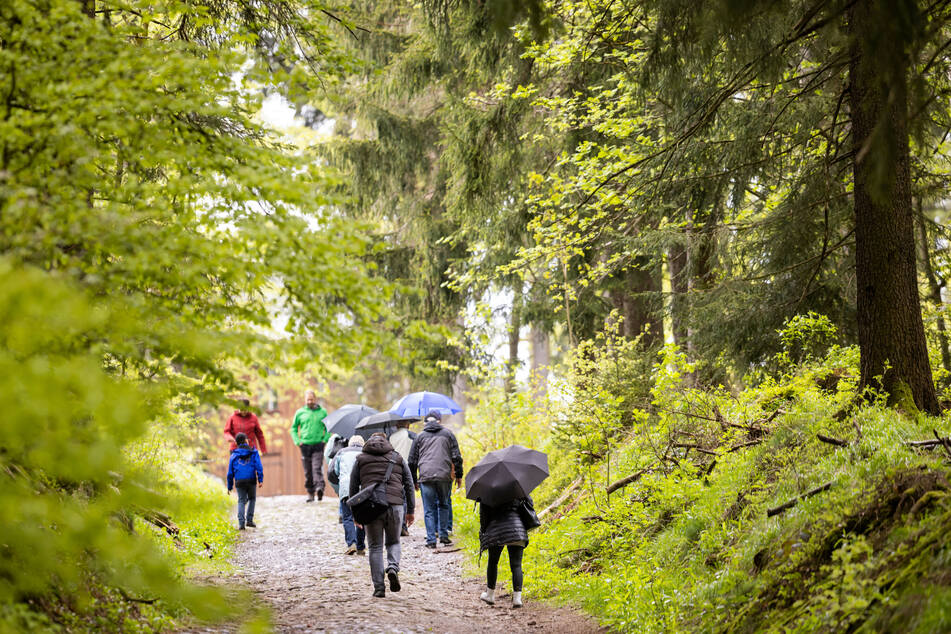 Der Thüringer Wald liegt bei Wanderern hoch im Kurs. Doch noch kommen nicht so viele Touristen, wie es vor Corona der Fall war.