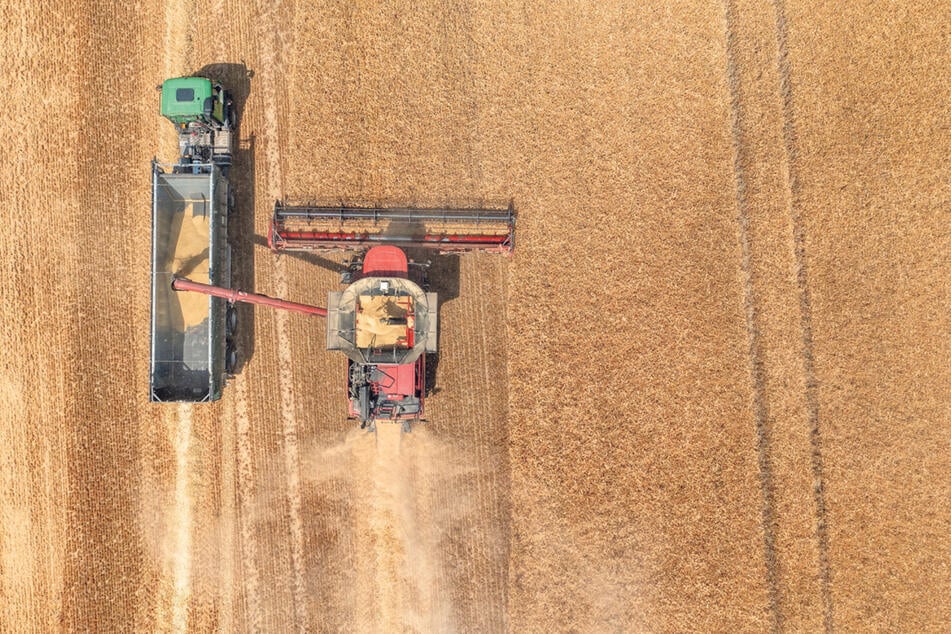 Ein Mähdrescher erntet ein Feld am Leipziger Stadtrand ab.