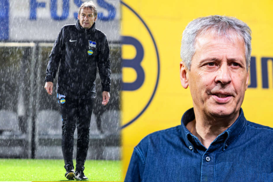 BVB-Coach Lucien Favre (r.) konnte mit Dortmund einen ganz wichtigen 2:1-Sieg bei Jürgen Klinsmann und Hertha BSC feiern.